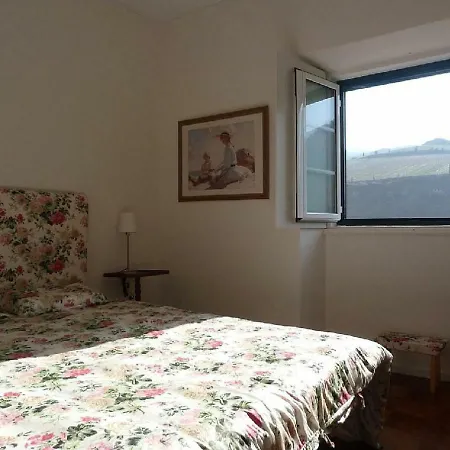 Casa Situada As Margens Do Rio Douro Na Regiao Vinhateira Do Vale Do Douro بيت للعطل Alijó
